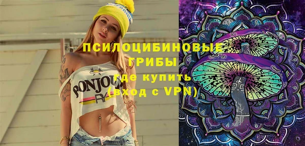 соль ск Надым