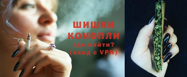 индика Белоозёрский
