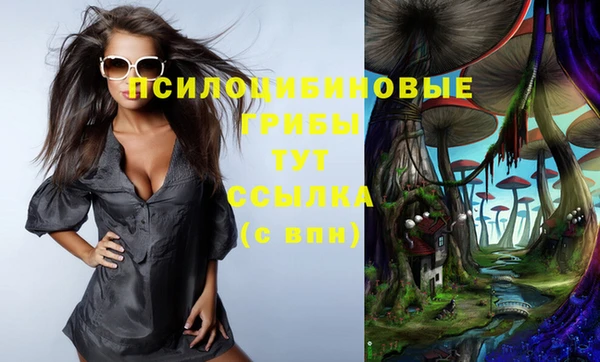 индика Белоозёрский