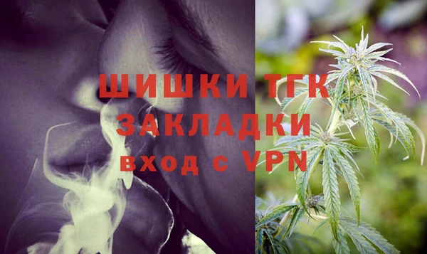 индика Белоозёрский