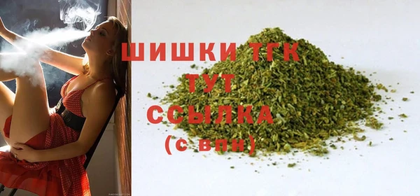 индика Белоозёрский