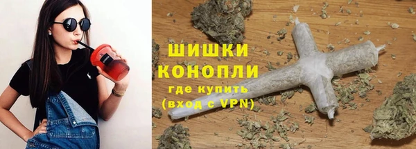 индика Белоозёрский